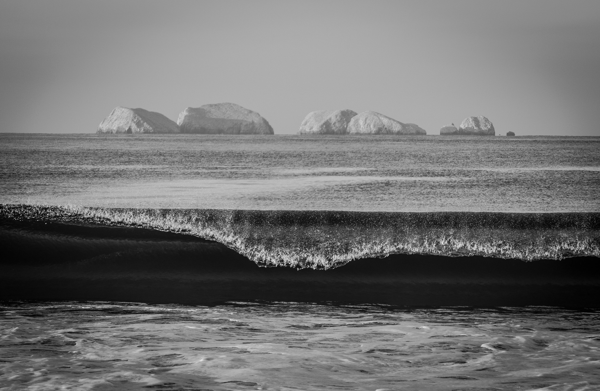 Playa Larga, Guerrero