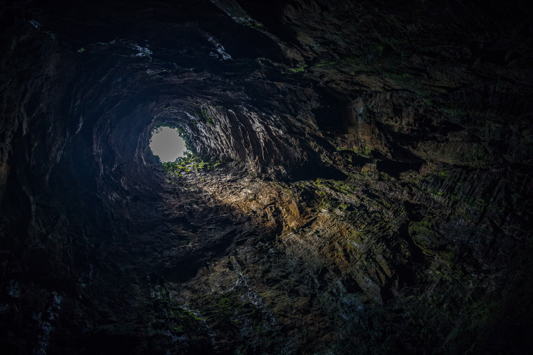 Sótano de las Golondrinas, San Luis Potosí