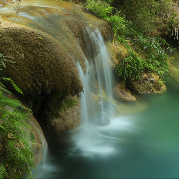 Cerca de Grutas de Cacahuamilpa