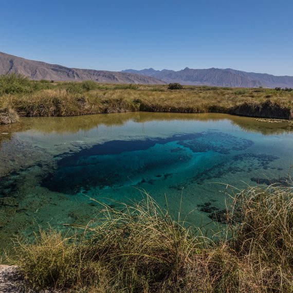 Cuatrocienegas, Coahuila