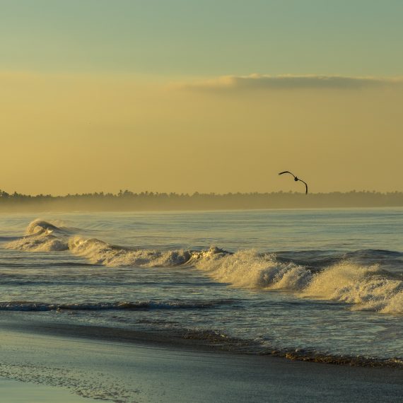 Playa Larga, Guerrero