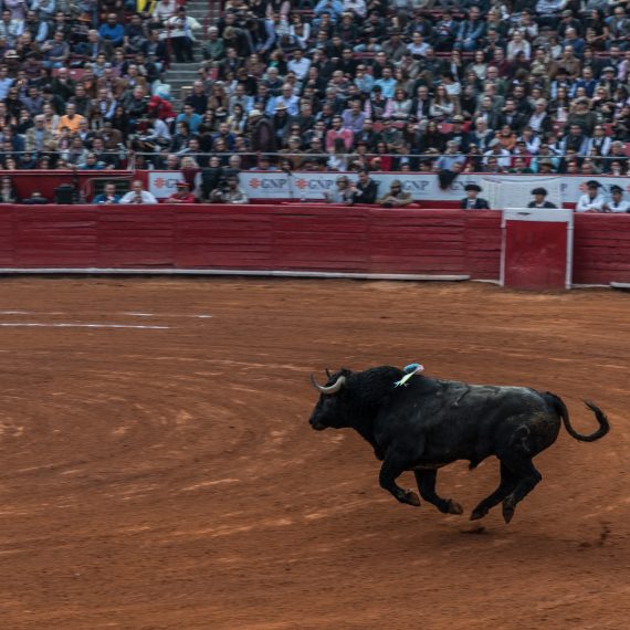 Plaza de Toros México