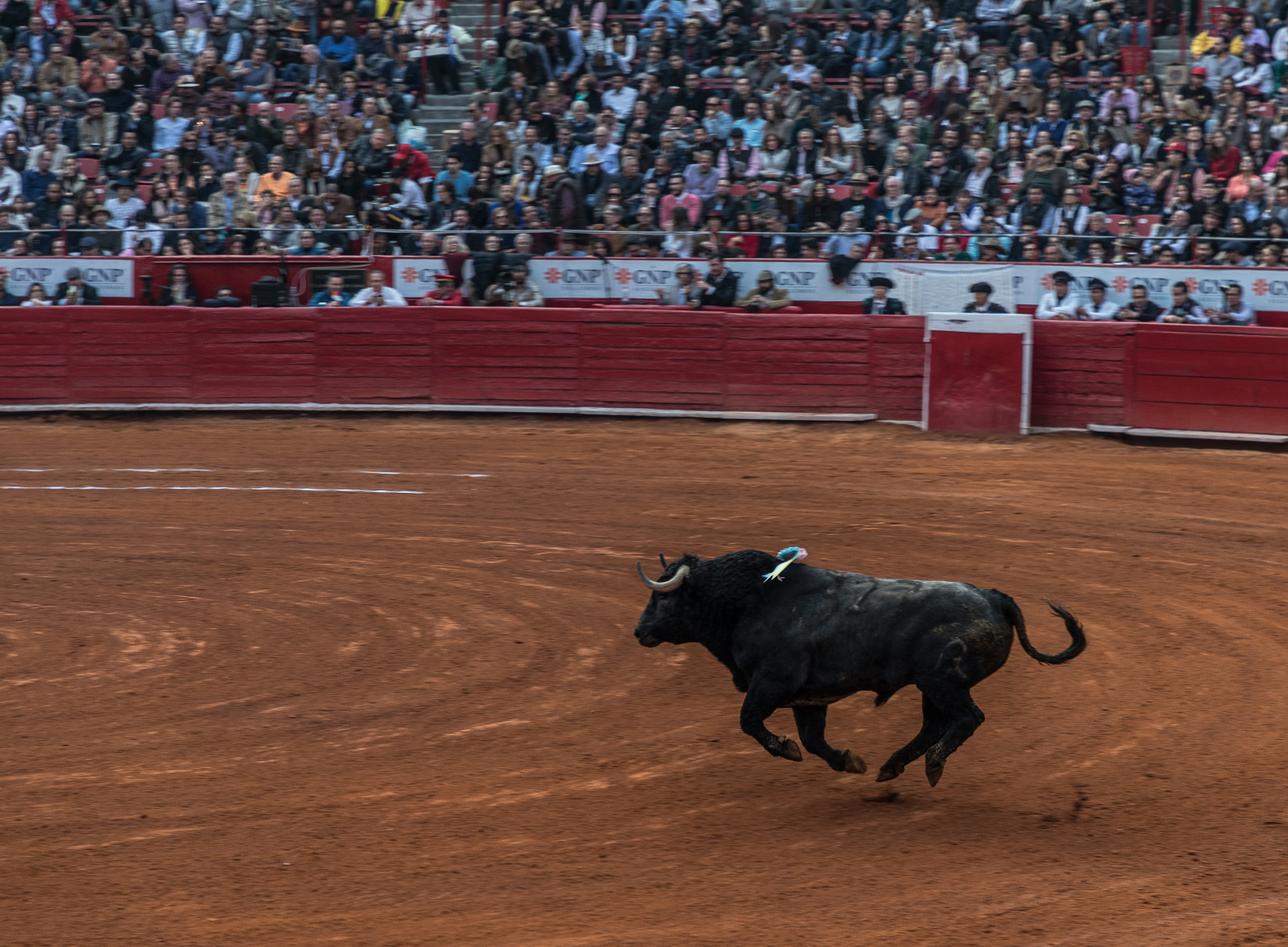 Plaza de Toros México