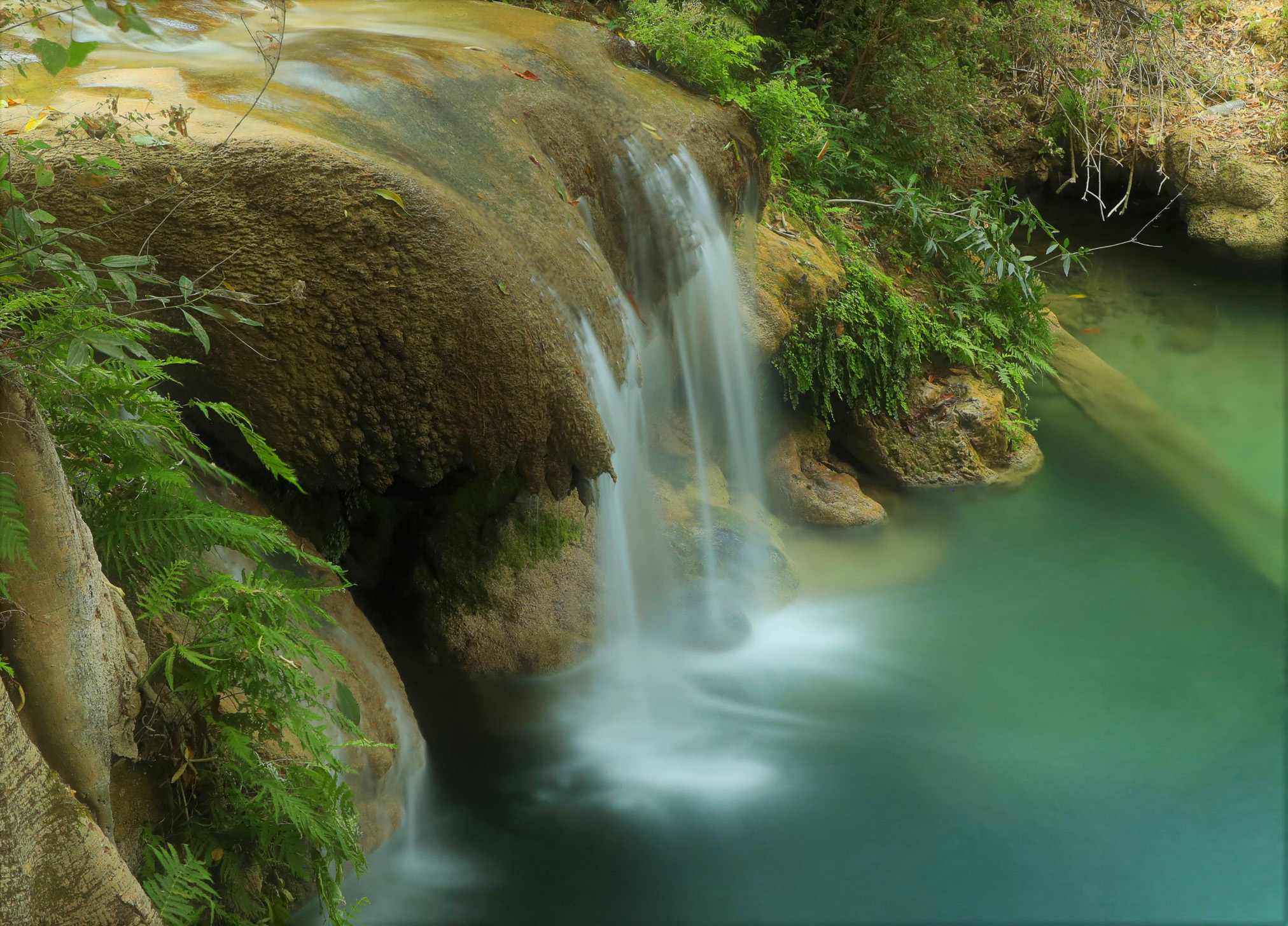 Cerca de Grutas de Cacahuamilpa