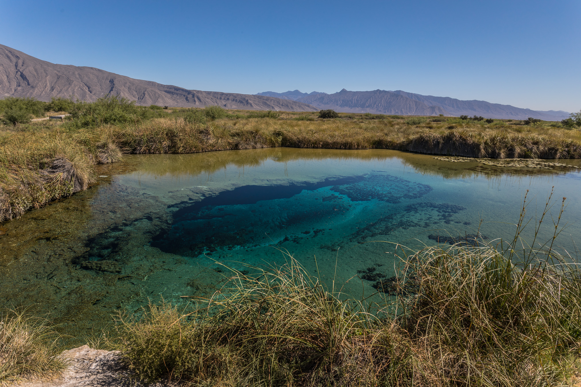 Cuatrocienegas, Coahuila