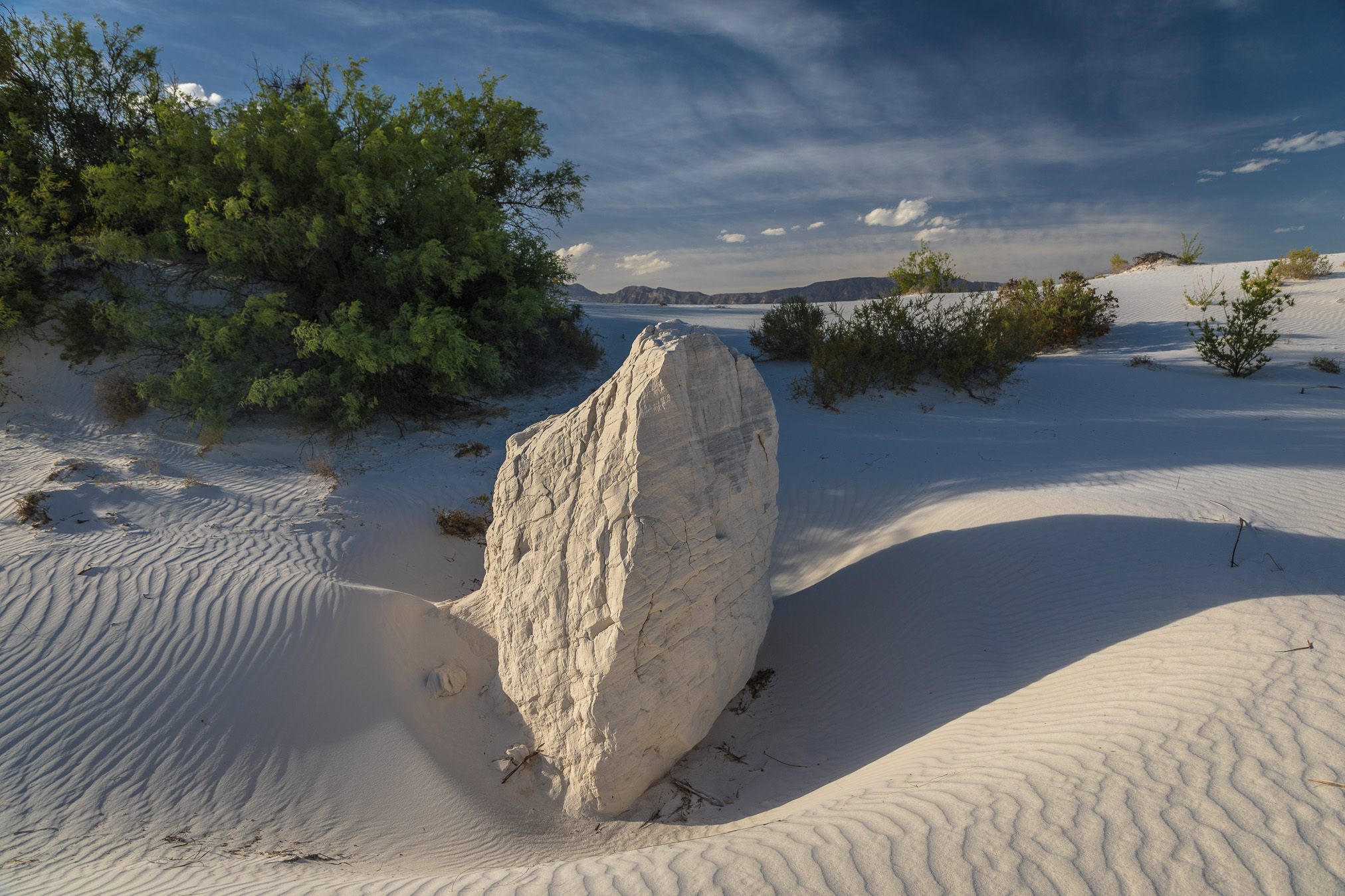 Dunas de Yeso, Coahuila