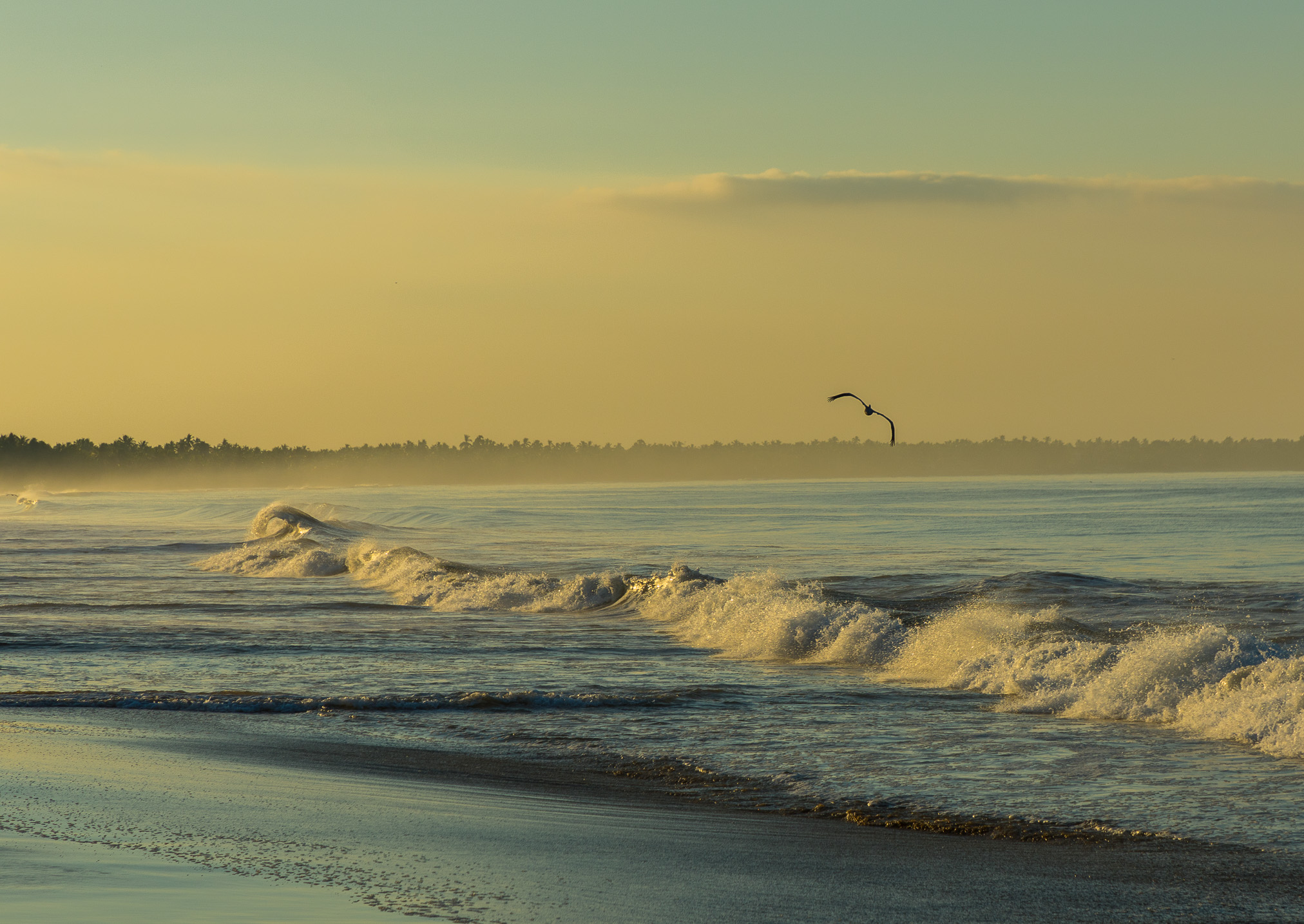 Playa Larga, Guerrero